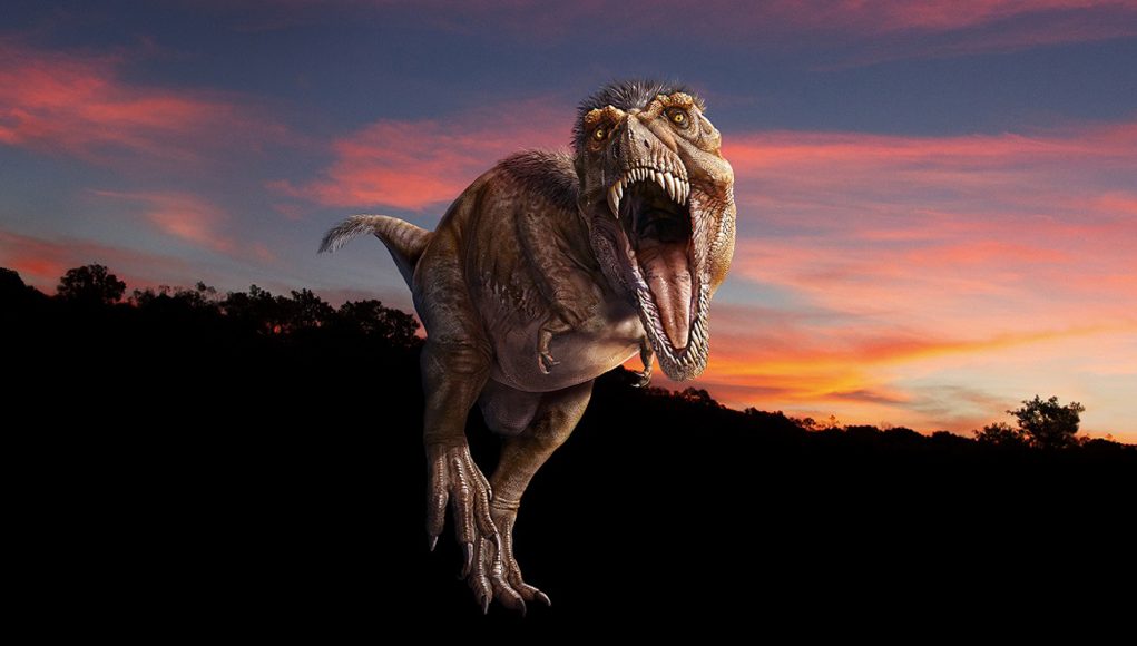 t rex experience
